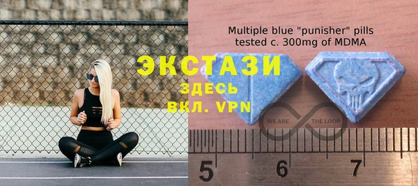 гидропоника Богданович