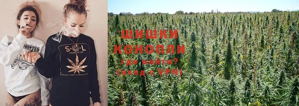 гидропоника Богданович