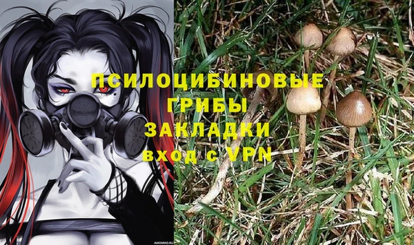 Альфа ПВП Богородск
