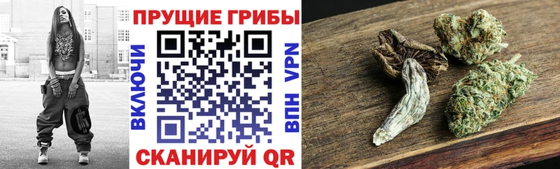 цены наркотик  МЕГА сайт  Галлюциногенные грибы мухоморы  Нелидово 